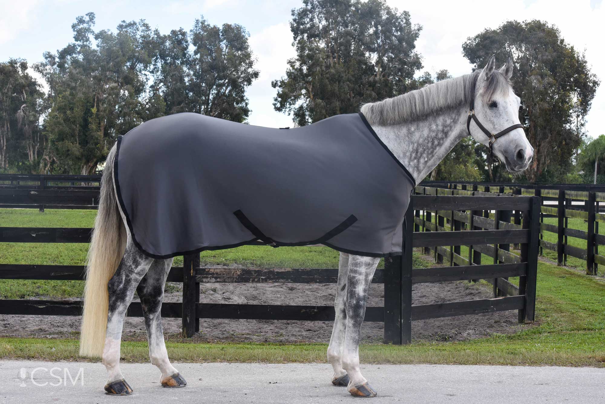 LT Blankets & Coolers – Fenwick Equestrian