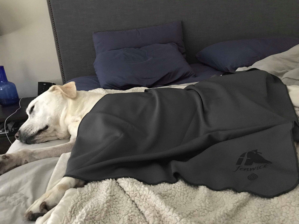 LT® Therapeutic Pet Blanket