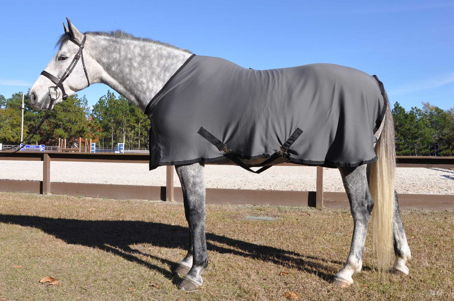 LT® Therapeutic Stable Sheet