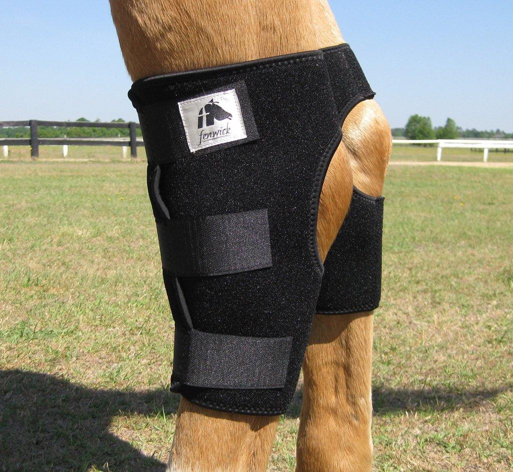 Liquid Titanium® Hock Boots - Fenwick Equestrian