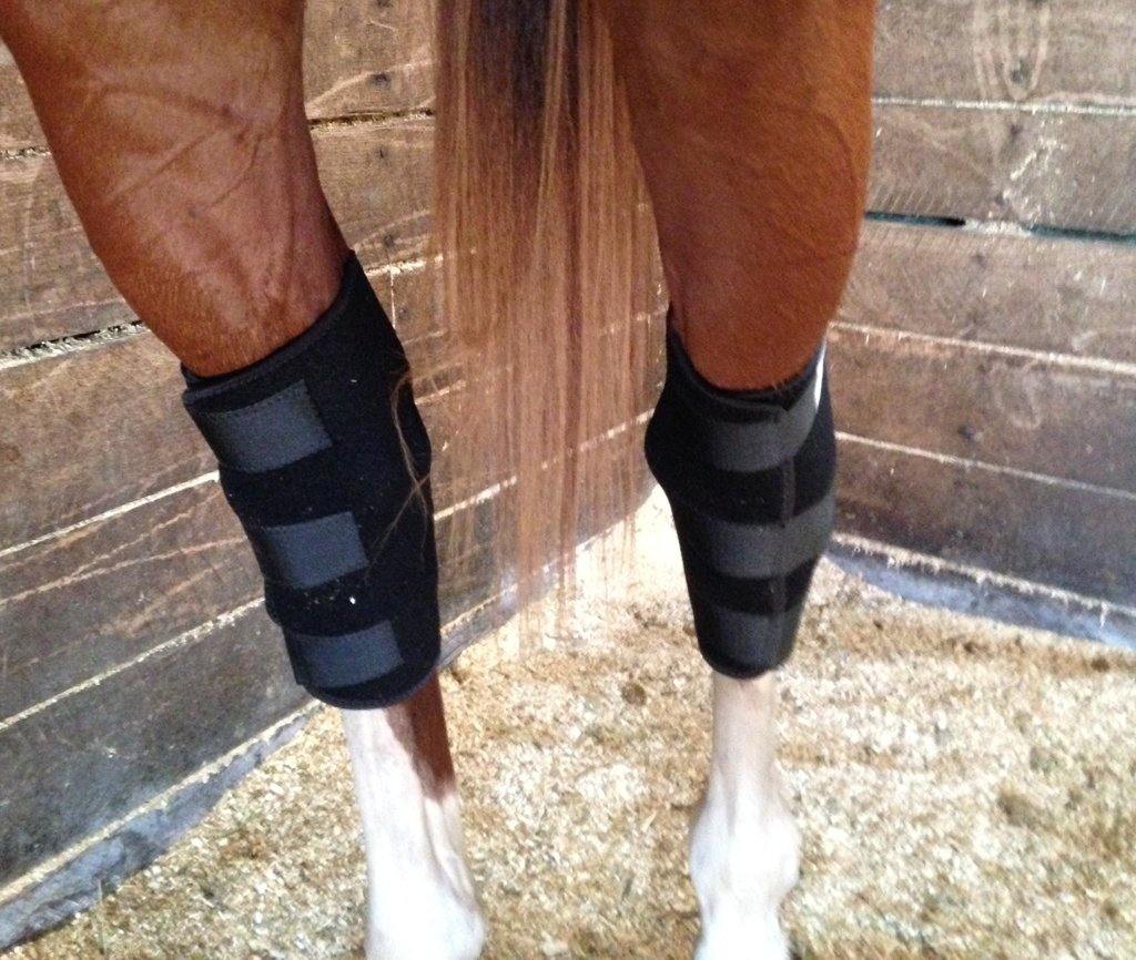 Liquid Titanium® Hock Boots - Fenwick Equestrian