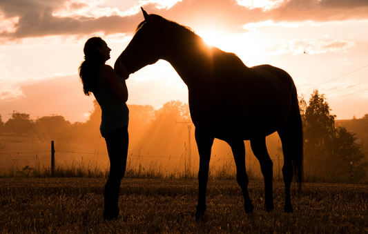 National Day of The Horse