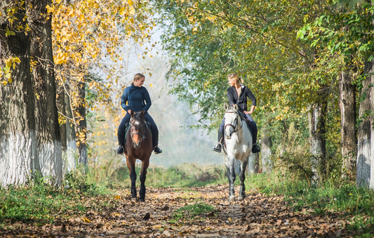 English Riding VS Western Riding