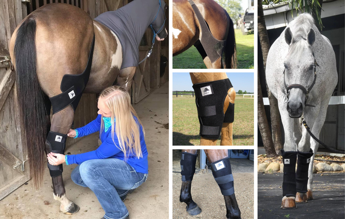 Fenwick Equestrian's Leg Therapy Products for Lameness Relief