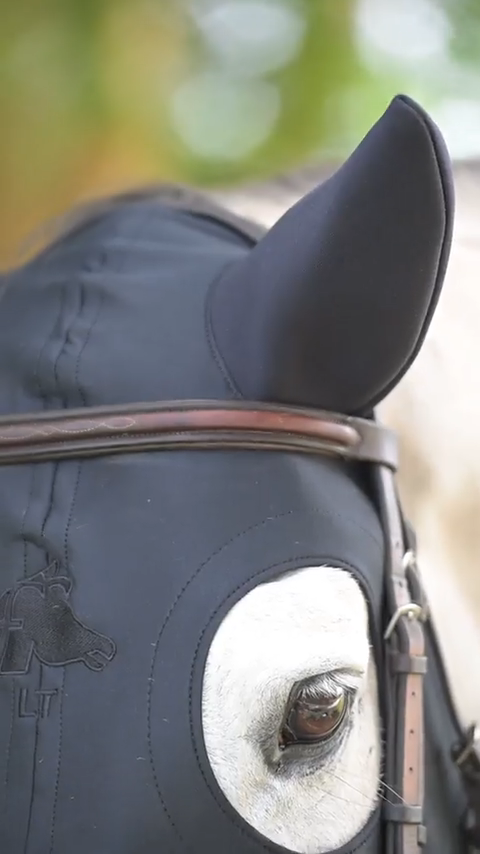 LT® Therapeutic Mask with Sound Reducing  Ears