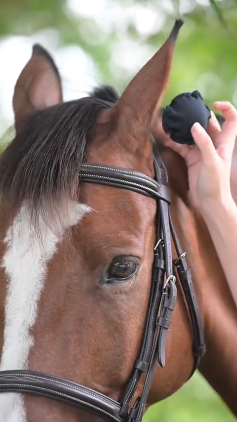 LT® Therapeutic Ear Plugs