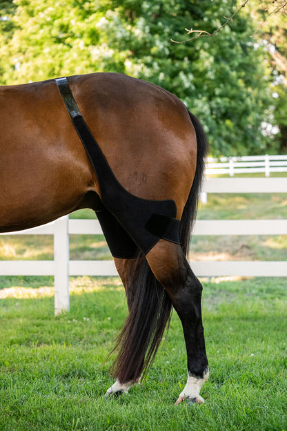 LT® Therapeutic Stifle Wrap