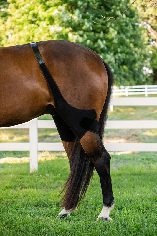 LT® Therapeutic Stifle Wrap