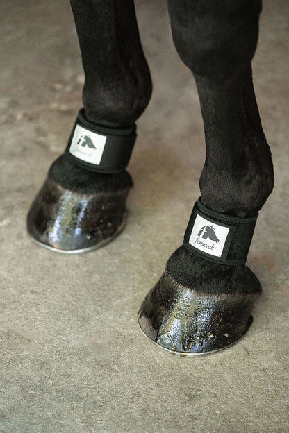 LT® Therapeutic Pastern Wrap