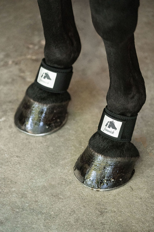 LT® Therapeutic Pastern Wrap
