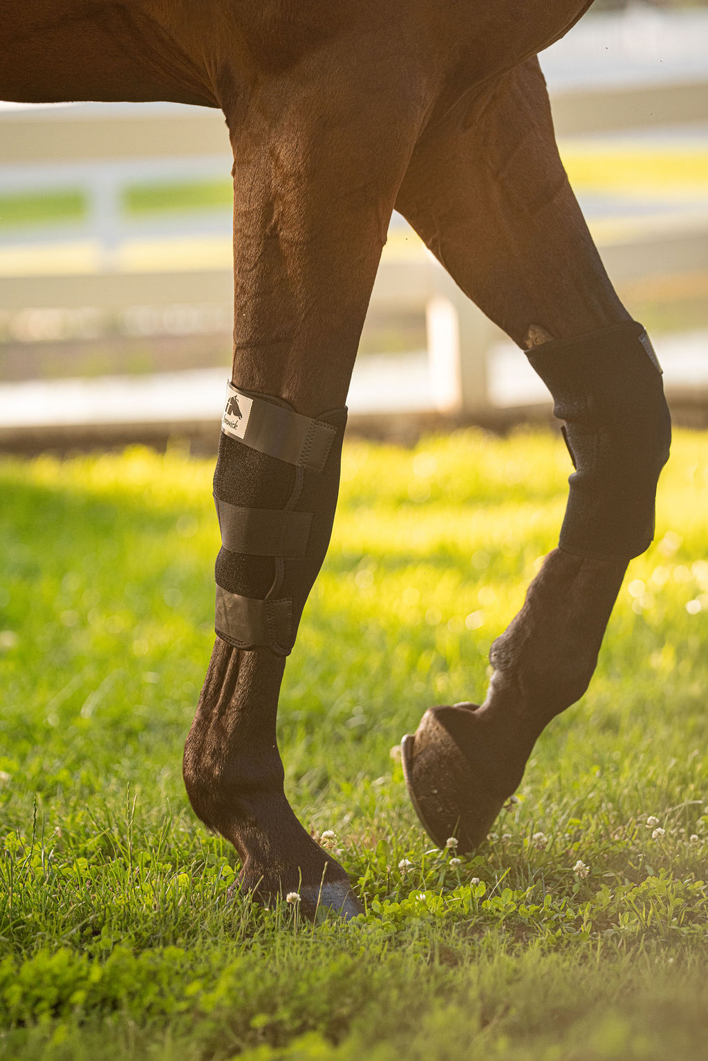 LT® Therapeutic Knee Boots