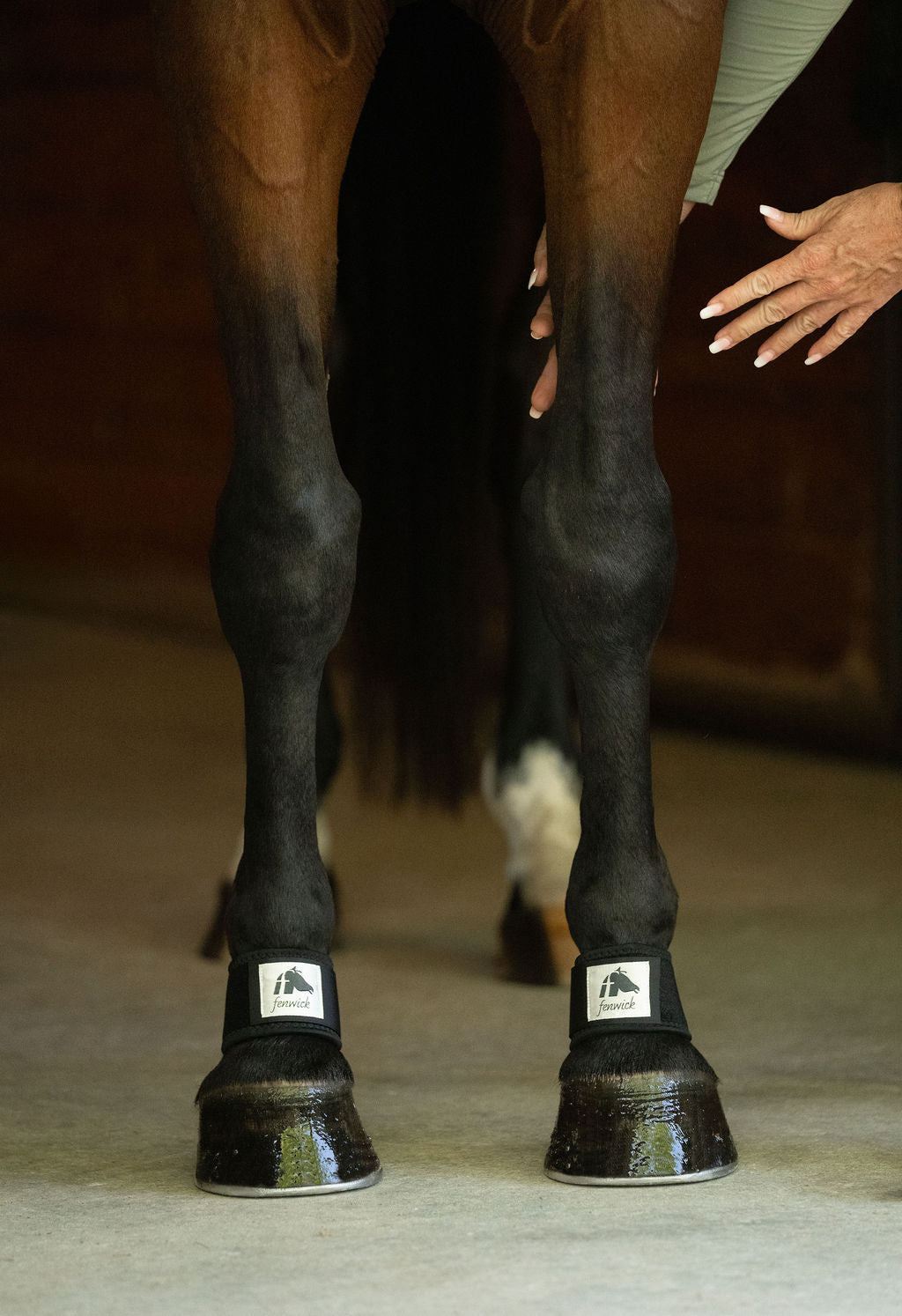 LT® Therapeutic Pastern Wrap