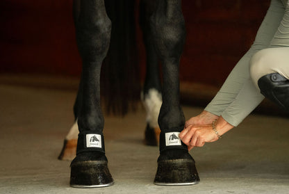 LT® Therapeutic Pastern Wrap
