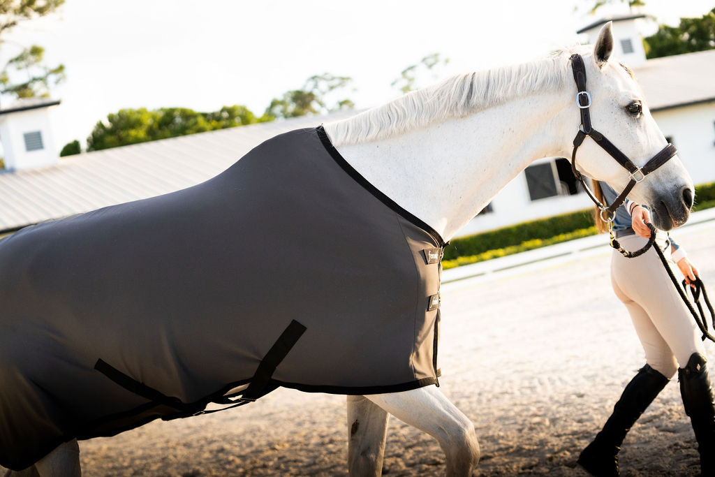 LT® Therapeutic Stable Sheet