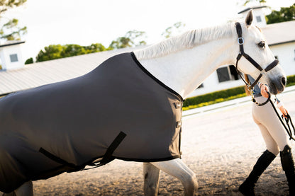 LT® Therapeutic Stable Sheet