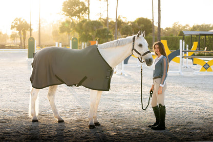 LT® Therapeutic Stable Sheet