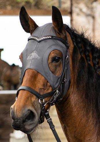 LT® Horse Mask Irregulars