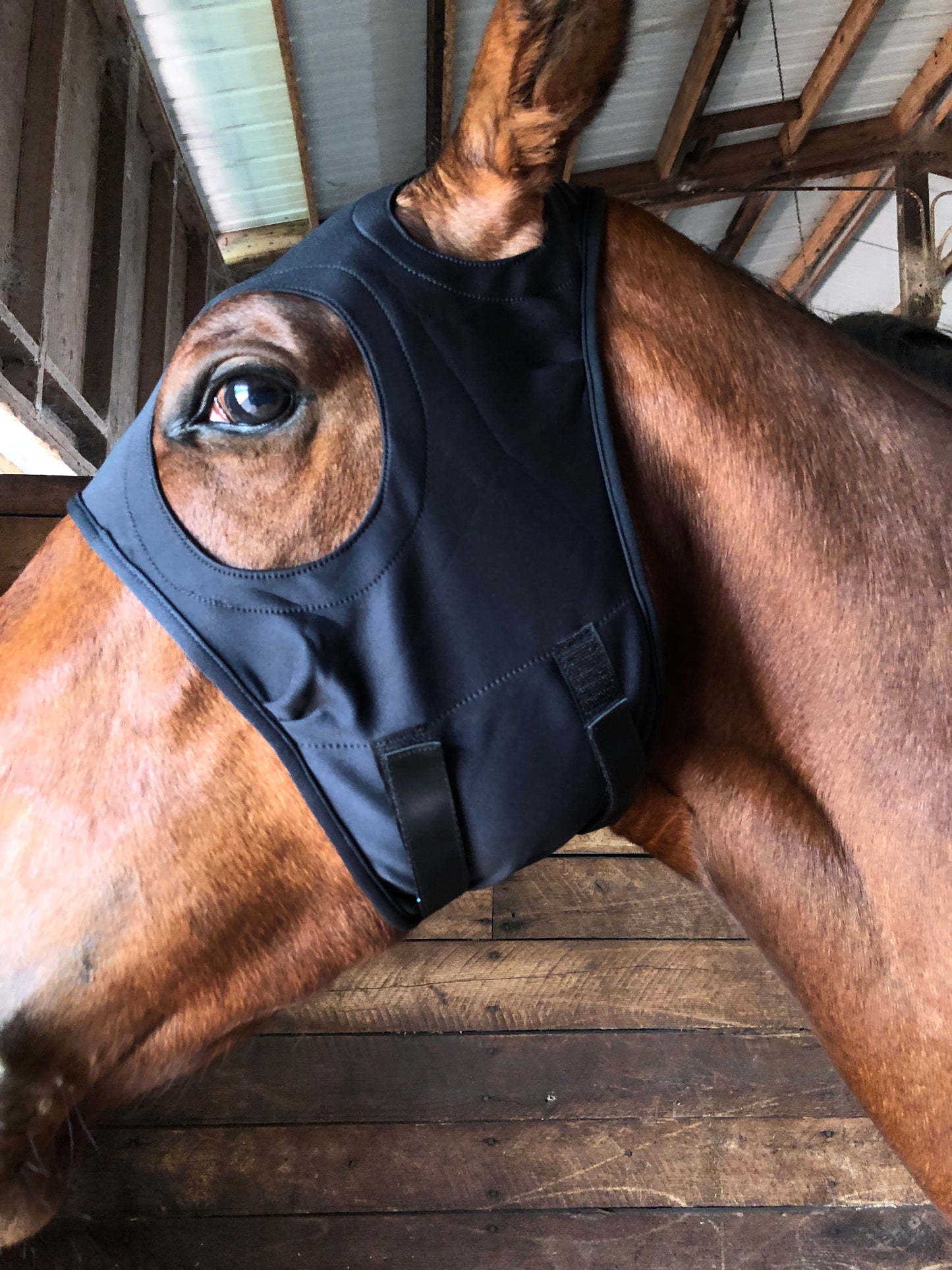 LT® Horse Mask
