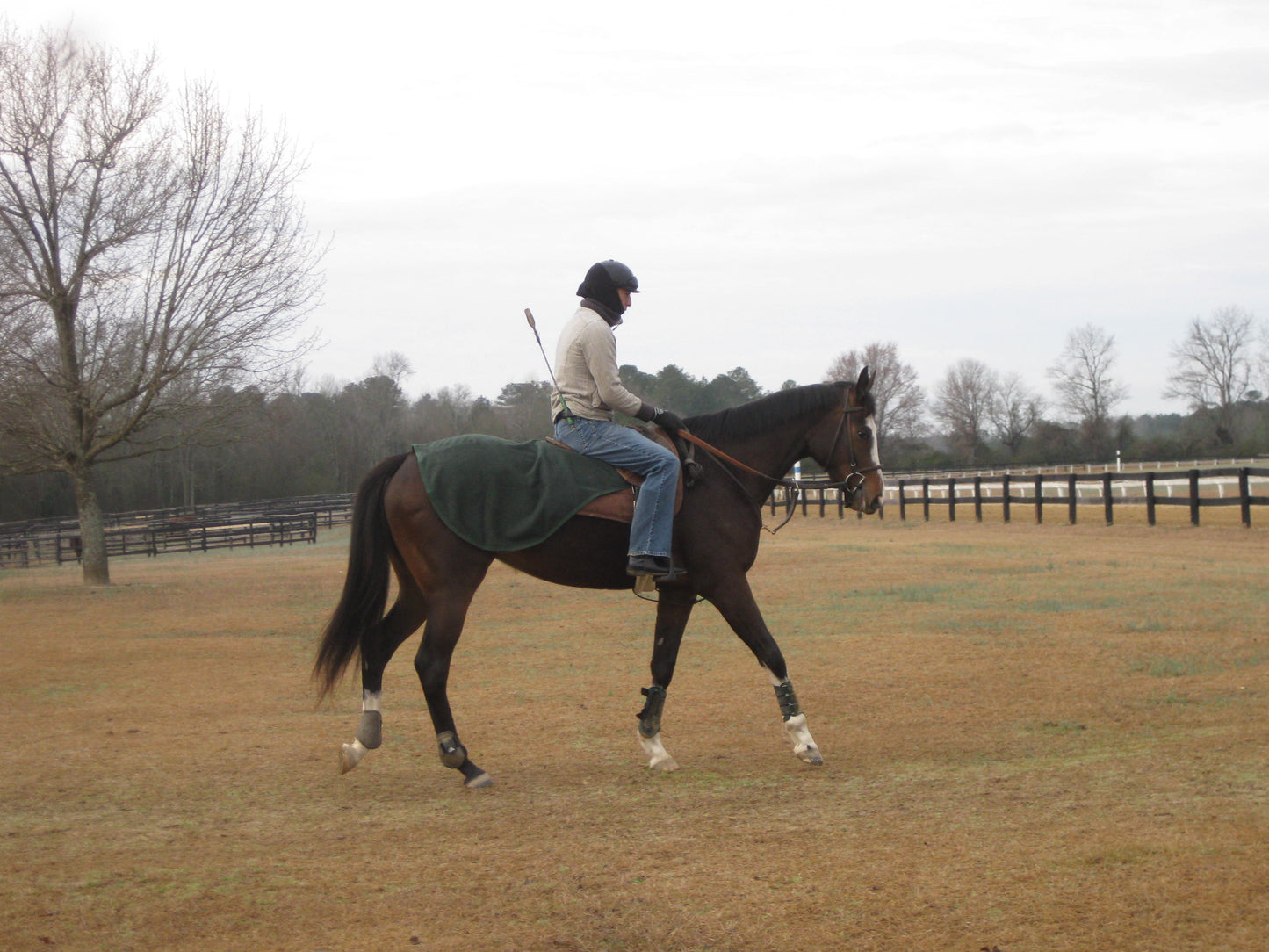 EquSuede Sherpa Fleece Quarter Sheet