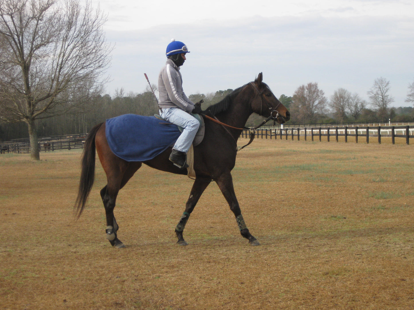 EquSuede Sherpa Fleece Quarter Sheet