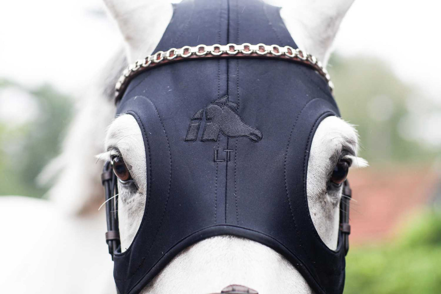 LT® Therapeutic Mask with Ears