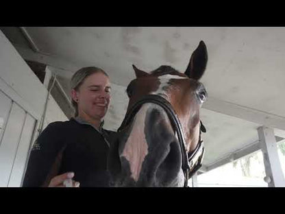 LT® Horse Mask