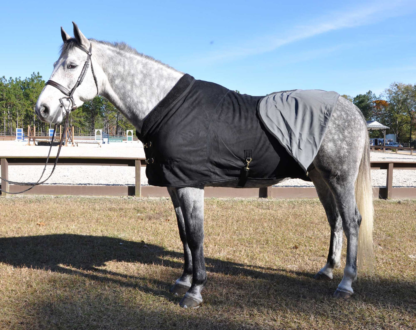 LT® EquSuede Horse Blanket