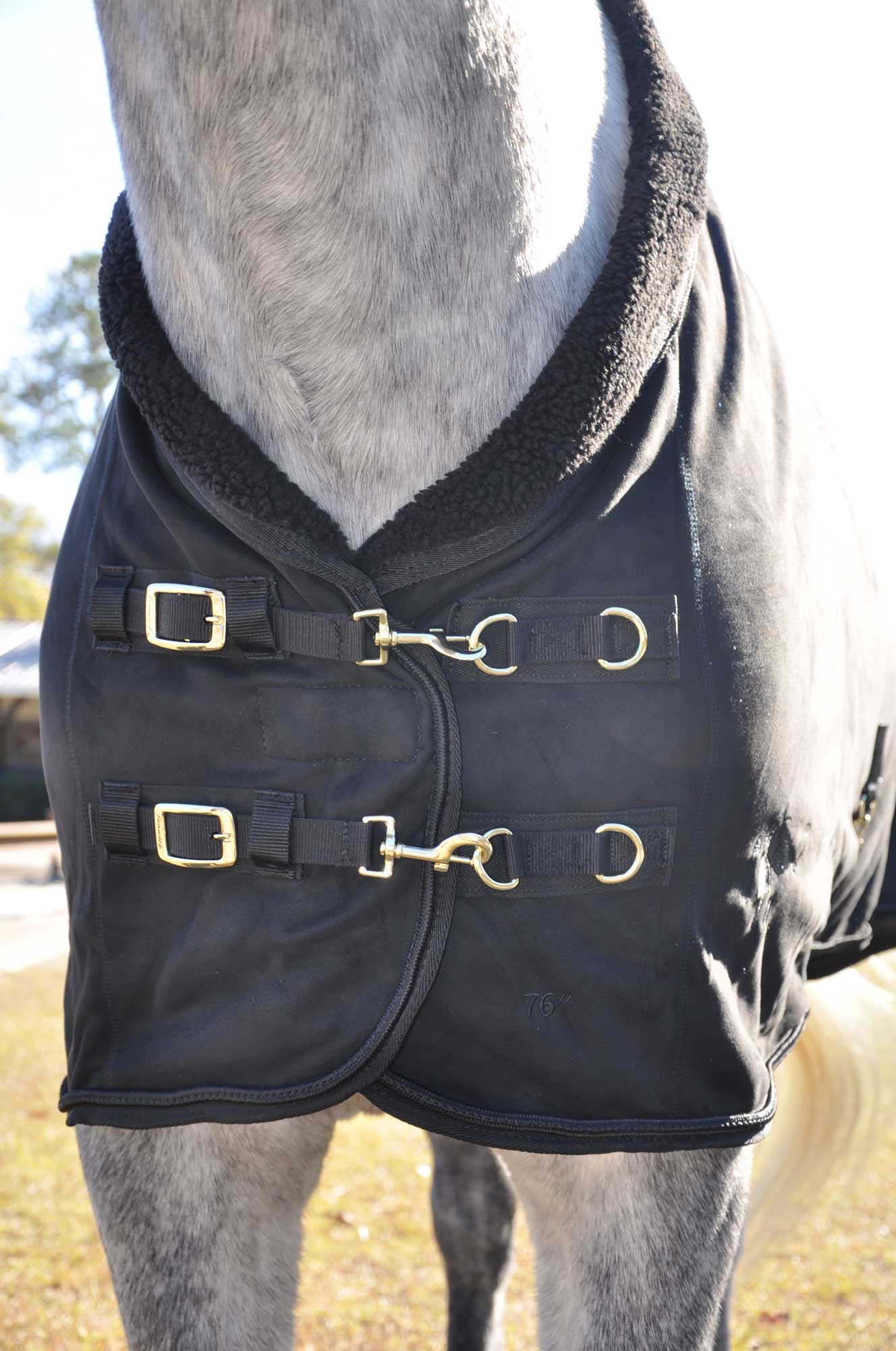 LT® EquSuede Horse Blanket