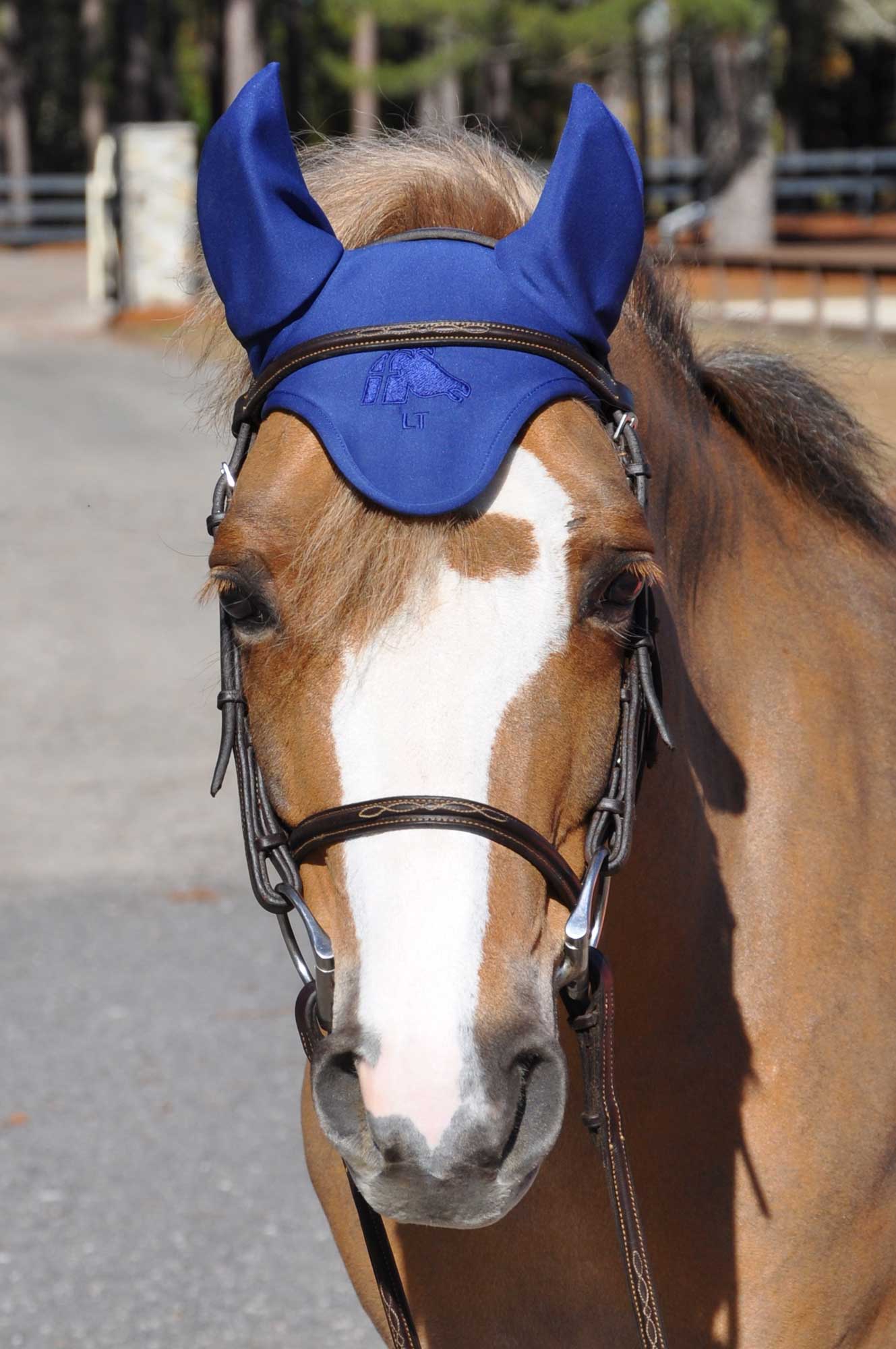 Horse ear bonnet store