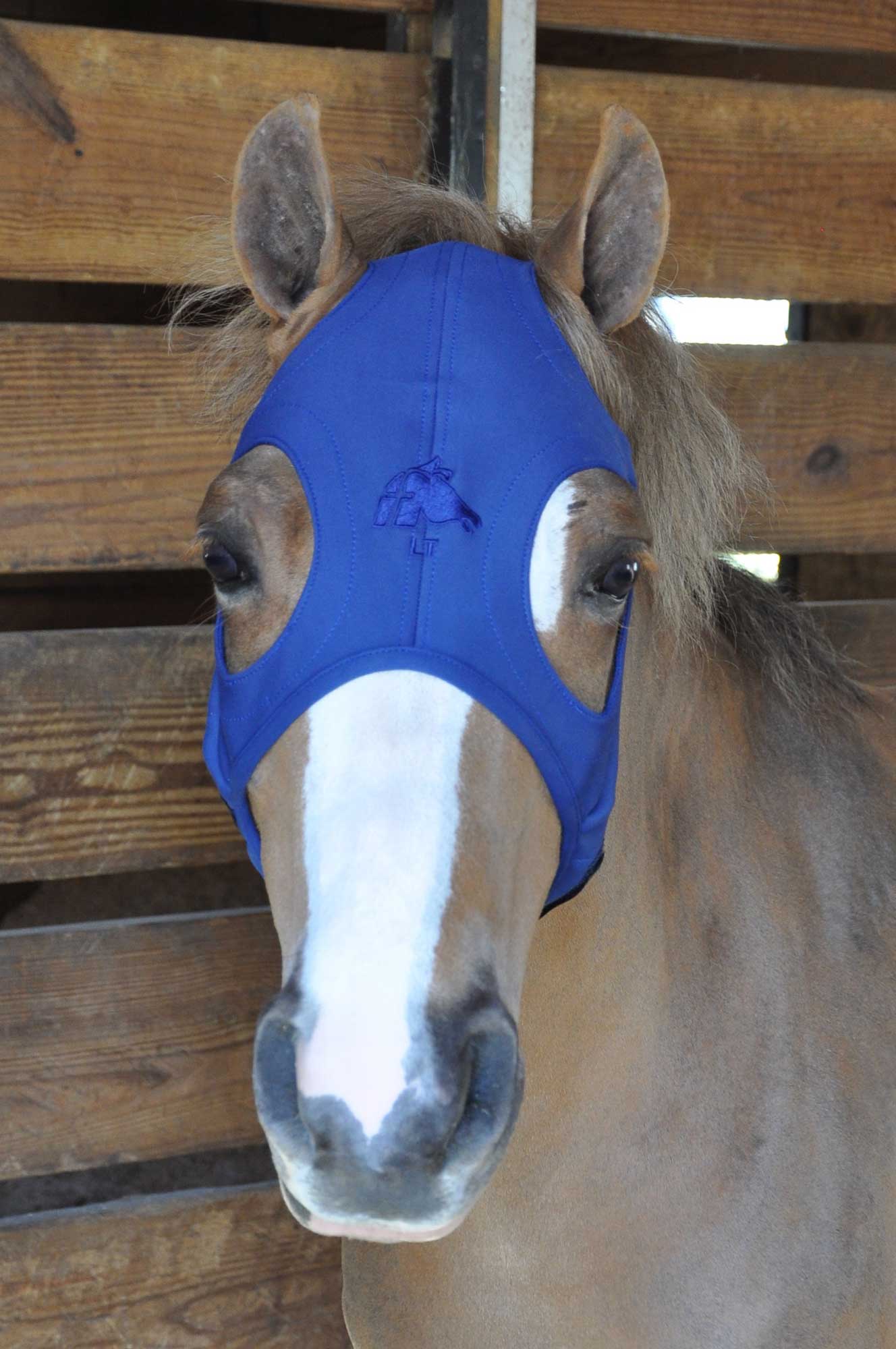 LT® Horse Mask