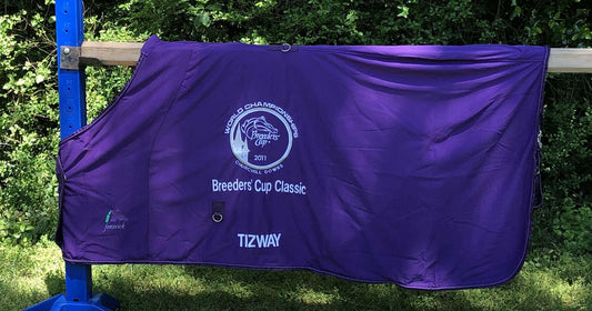 ★ Sporty Cooler-Tizway 2011 Breeders' Cup Classic ★ - Fenwick Equestrian