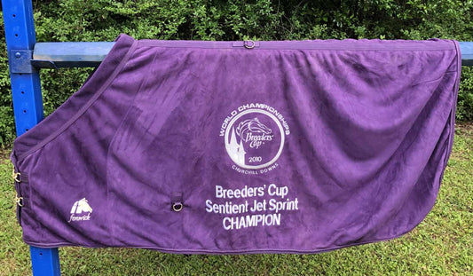 ★ EquSuede 82" Cooler/Blanket Breeders' Cup 2010  Sentient Jet Sprint ★ Year of Big Drama & Dubai Majesty - Fenwick Equestrian