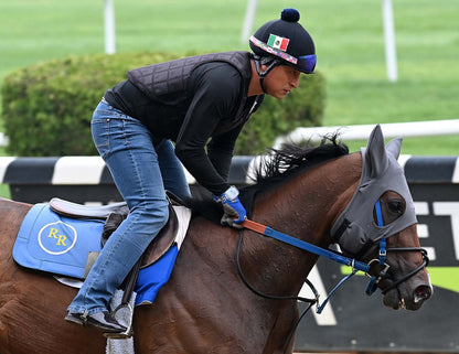 LT® Horse Mask with Ears