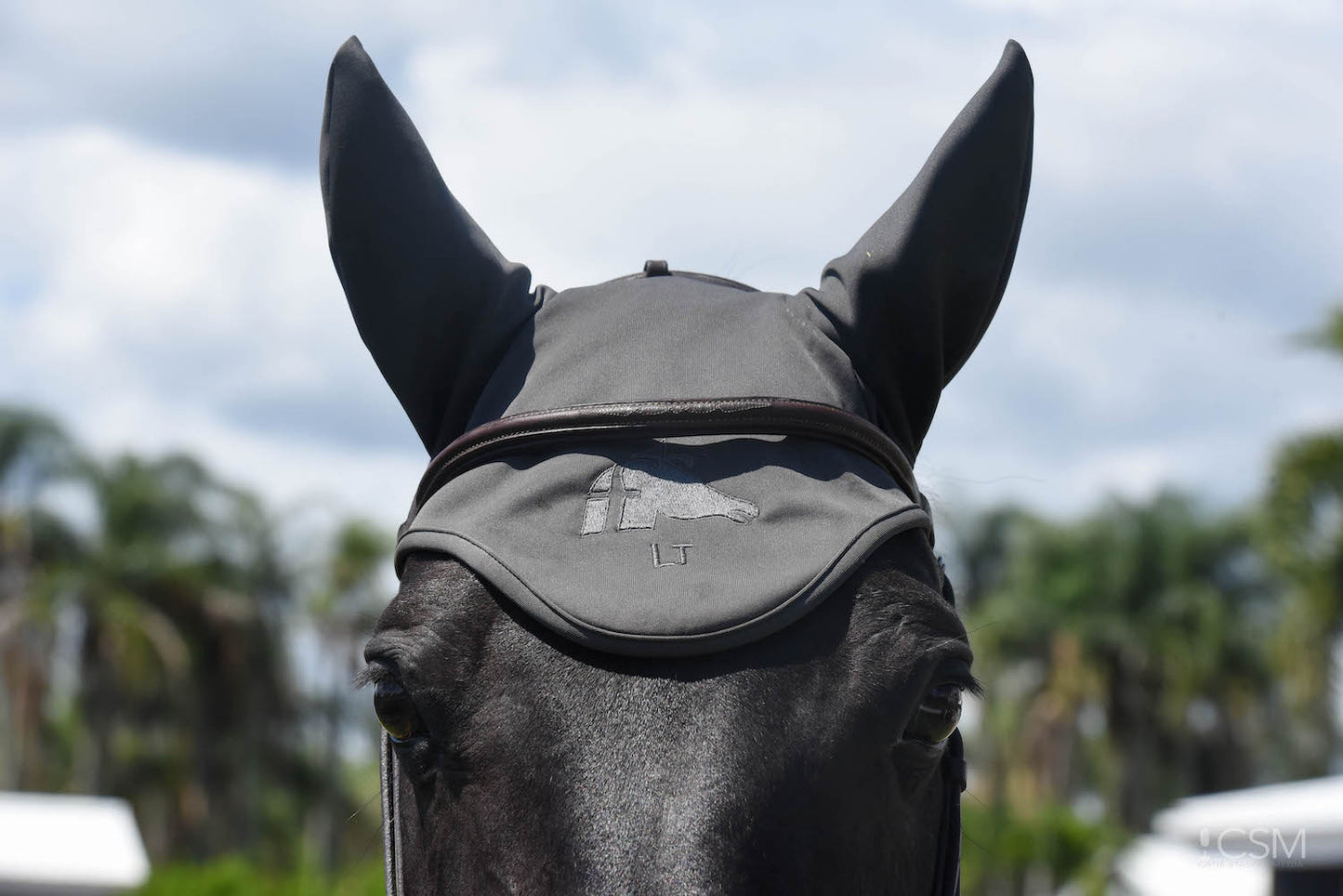 LT Horse Ear Bonnet