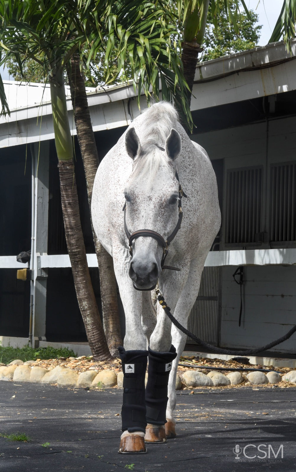 LT Horse Quick Leg Wraps