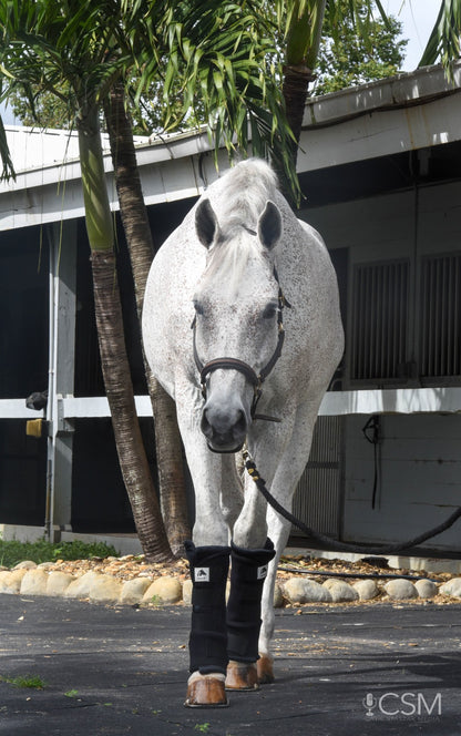 LT Horse Quick Leg Wraps