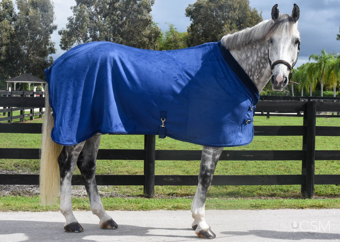 LT® EquSuede Horse Blanket