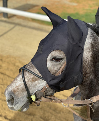 Liquid Titanium® Mask with Ears - Fenwick Equestrian