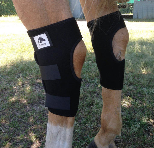 Liquid Titanium® Hock Boots - Fenwick Equestrian