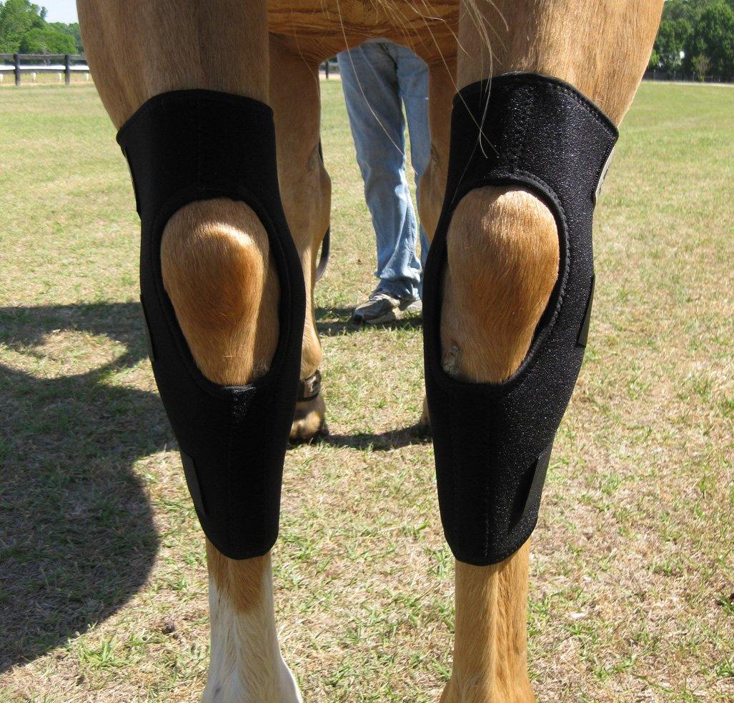Liquid Titanium® Hock Boots - Fenwick Equestrian