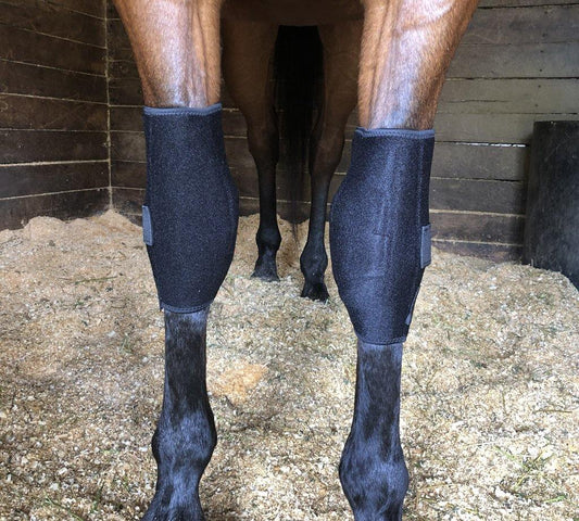 Liquid Titanium® Knee Boots - Fenwick Equestrian