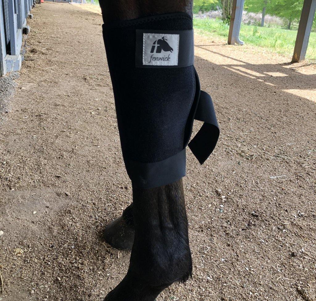 Liquid Titanium® Knee Boots - Fenwick Equestrian