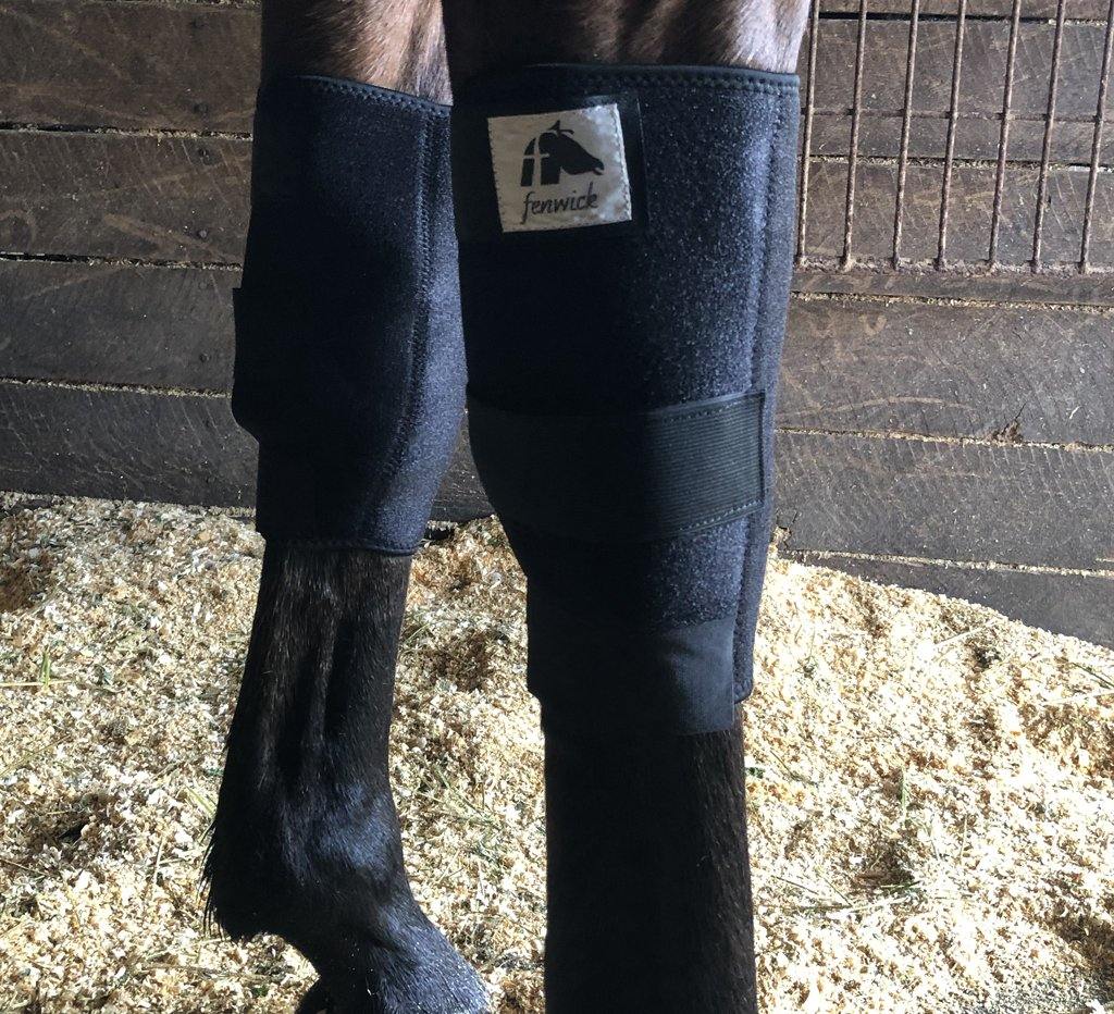 Liquid Titanium® Knee Boots - Fenwick Equestrian