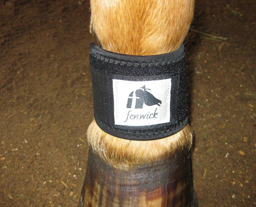 Liquid Titanium® Pastern Wrap - Fenwick Equestrian