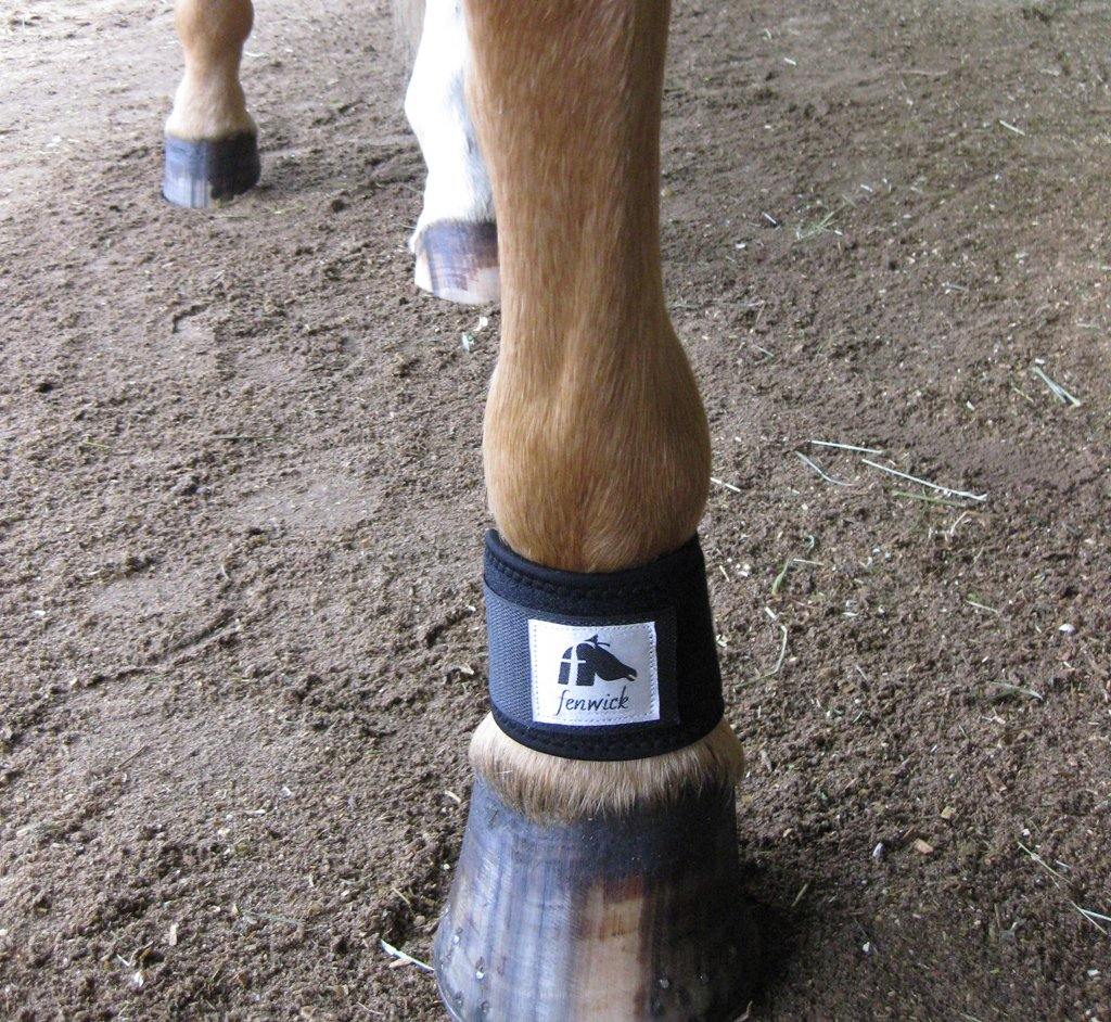 Liquid Titanium® Pastern Wrap - Fenwick Equestrian