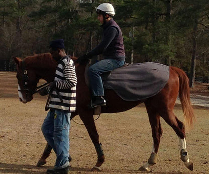 Liquid Titanium® Quarter Sheet - Fenwick Equestrian