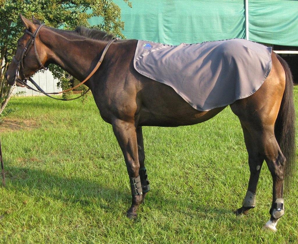Liquid Titanium® Quarter Sheet - Fenwick Equestrian