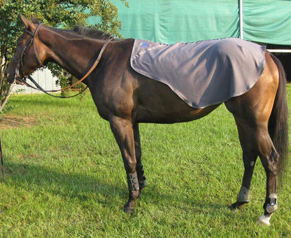 Liquid Titanium® Quarter Sheet - Fenwick Equestrian