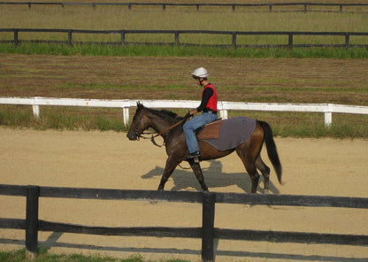 Liquid Titanium® Quarter Sheet - Fenwick Equestrian