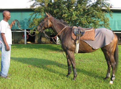 Liquid Titanium® Quarter Sheet - Fenwick Equestrian
